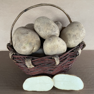 Patata Kennebec gallega fresca de cultivo tradicional en Galicia.