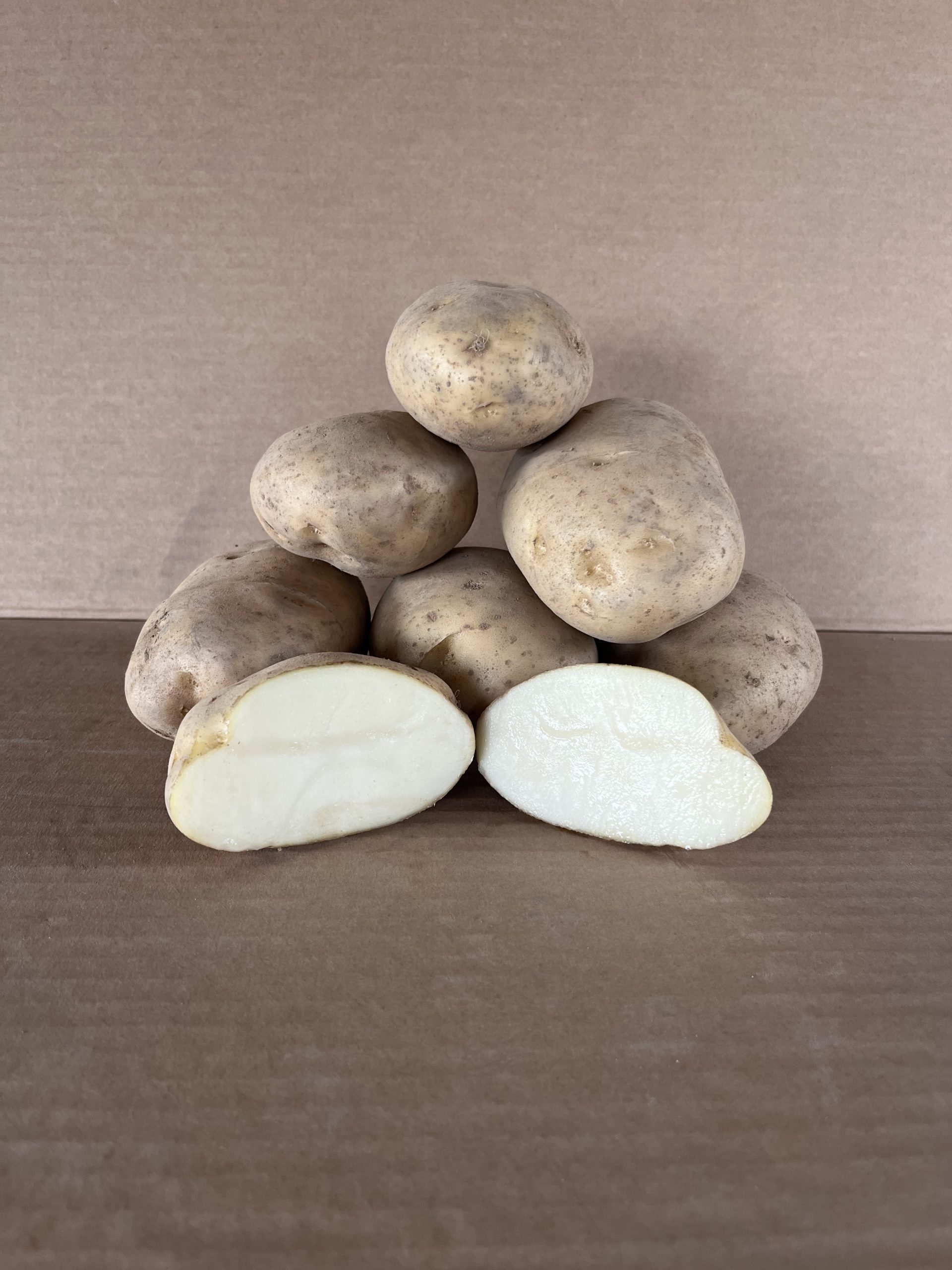 Patata Kennebec gallega fresca de cultivo tradicional en Galicia