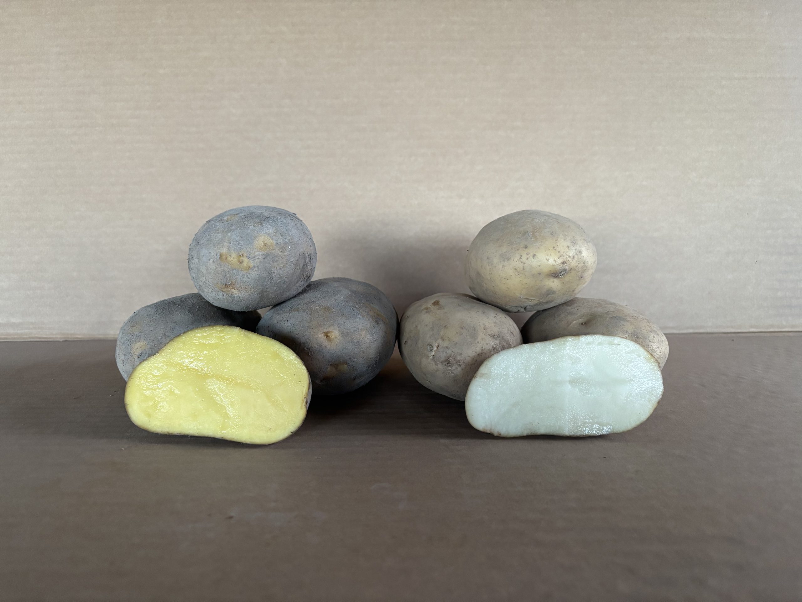 Pack mixto de patata Kennebec y patata Agria gallegas cultivadas en Xinzo de Limia