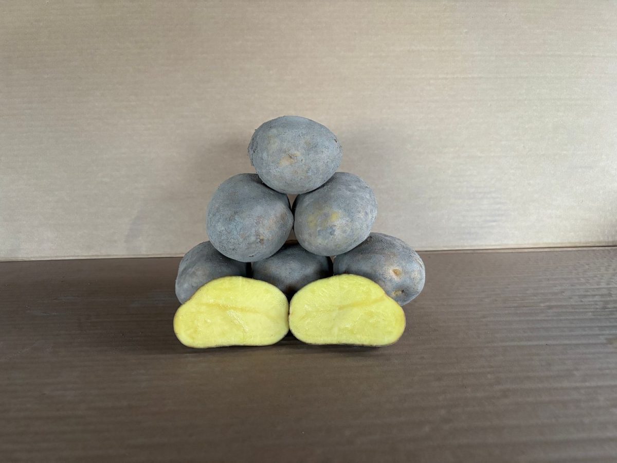 Patata agria gallega de carne amarilla en cesta, ideal para freír y tortillas.